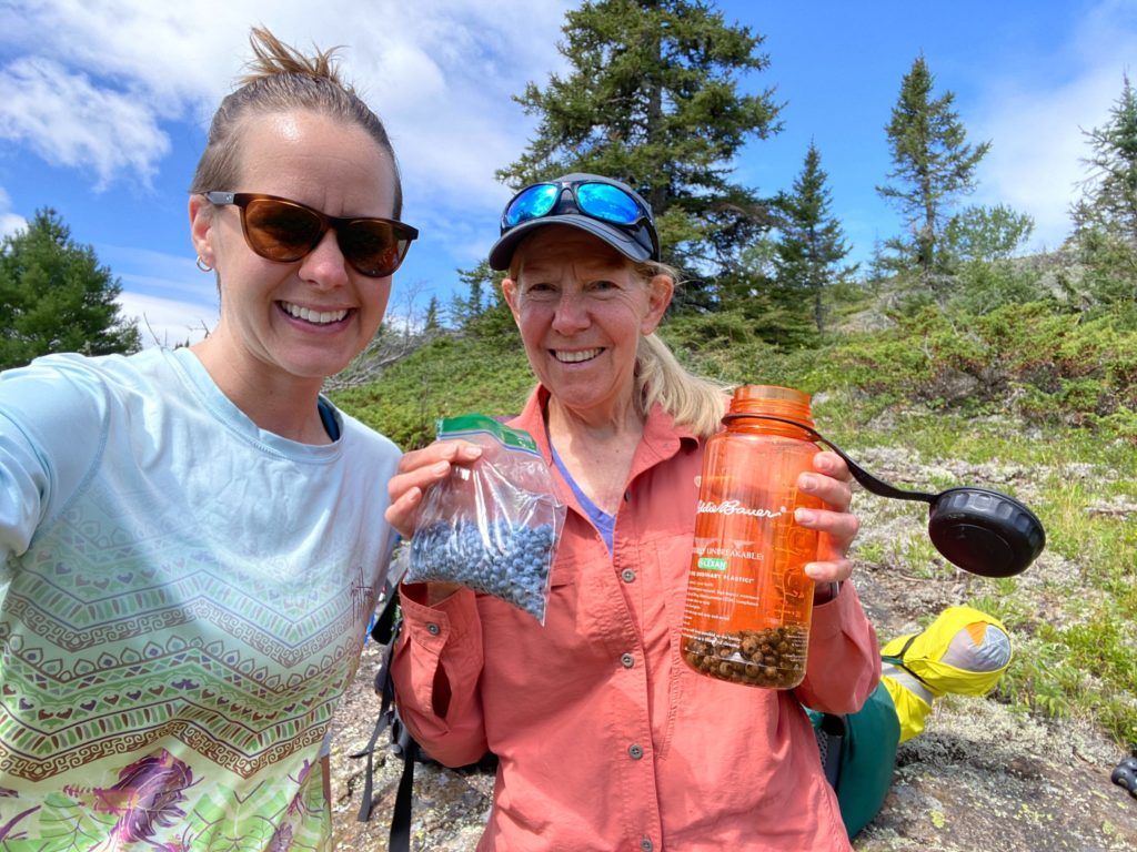 Backpacking Isle Royale--berry picking August 2020