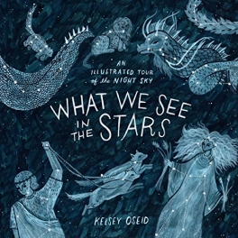 what-we-see-in-stars-book